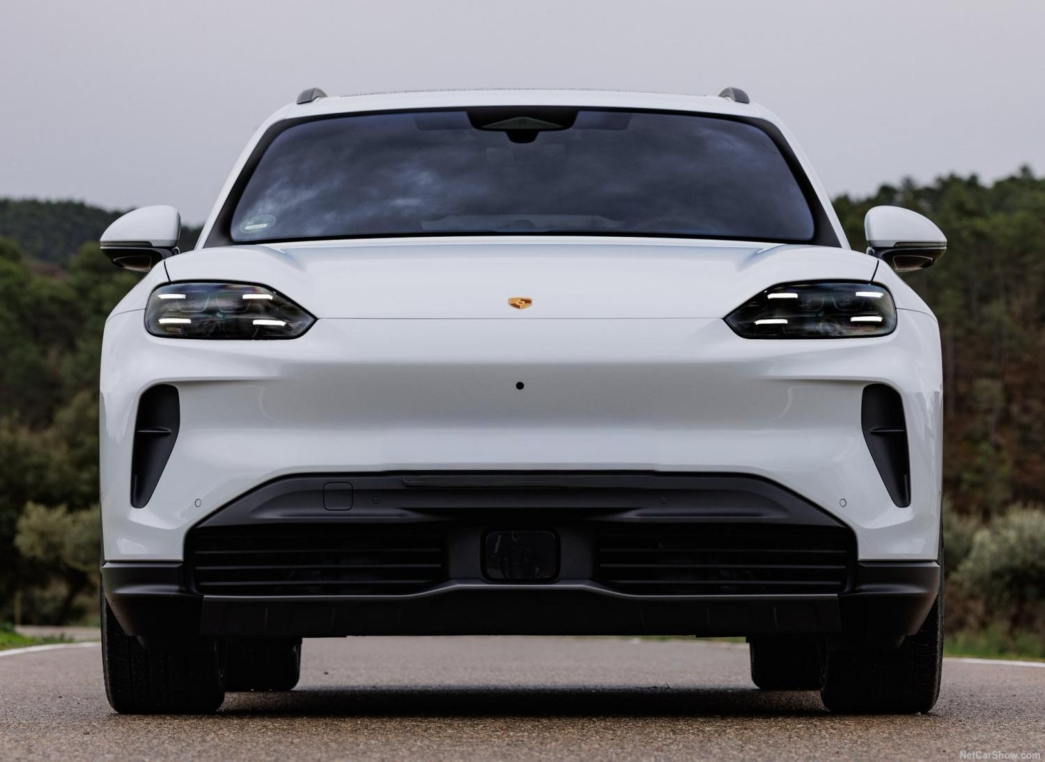 Porsche Cayenne Electric